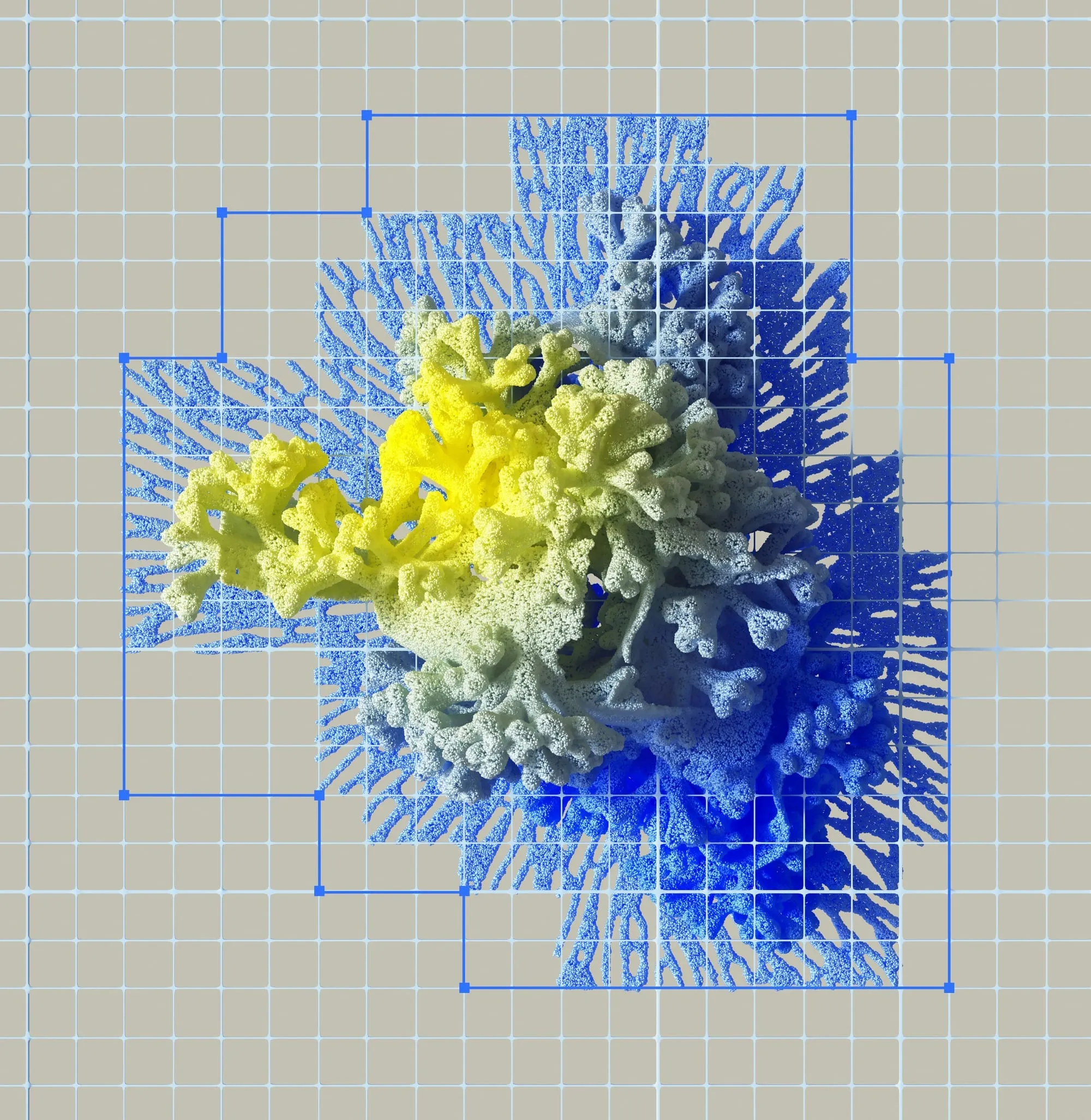 A yellow and blue coral form laid over a pale blue measurement grid